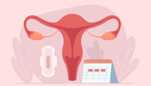 How the Menstrual Cycle Affects Your Mood and Energy Levels, How the Menstrual Cycle, Affects Your Mood, Energy Levels, Menstrual Cycle, Affects Your, Mood and Energy Levels