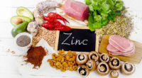 Understanding the Role of Zinc in Immune Support, Understanding the, Role of Zinc, Immune Support, Zinc in Immune Support, zinc